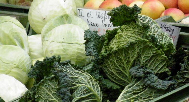 Grüner Wirsing, weißer Kohl, Äpfel und Birnen auf einem Marktstand als Beispiel für eine nachhaltige und lokale Ernährung