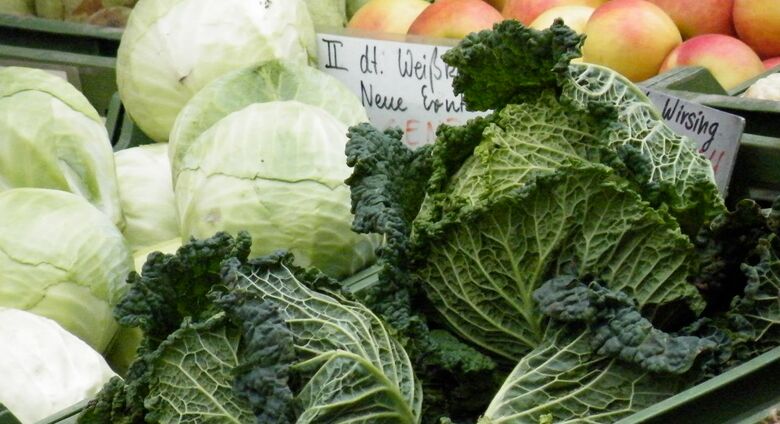 Grüner Wirsing, weißer Kohl, Äpfel und Birnen auf einem Marktstand als Beispiel für eine nachhaltige und lokale Ernährung