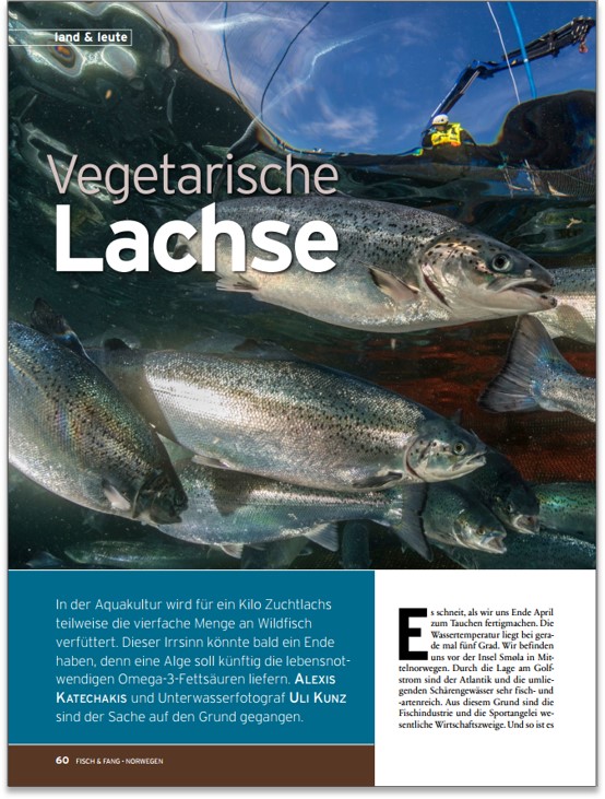 Vegetarische Lachse