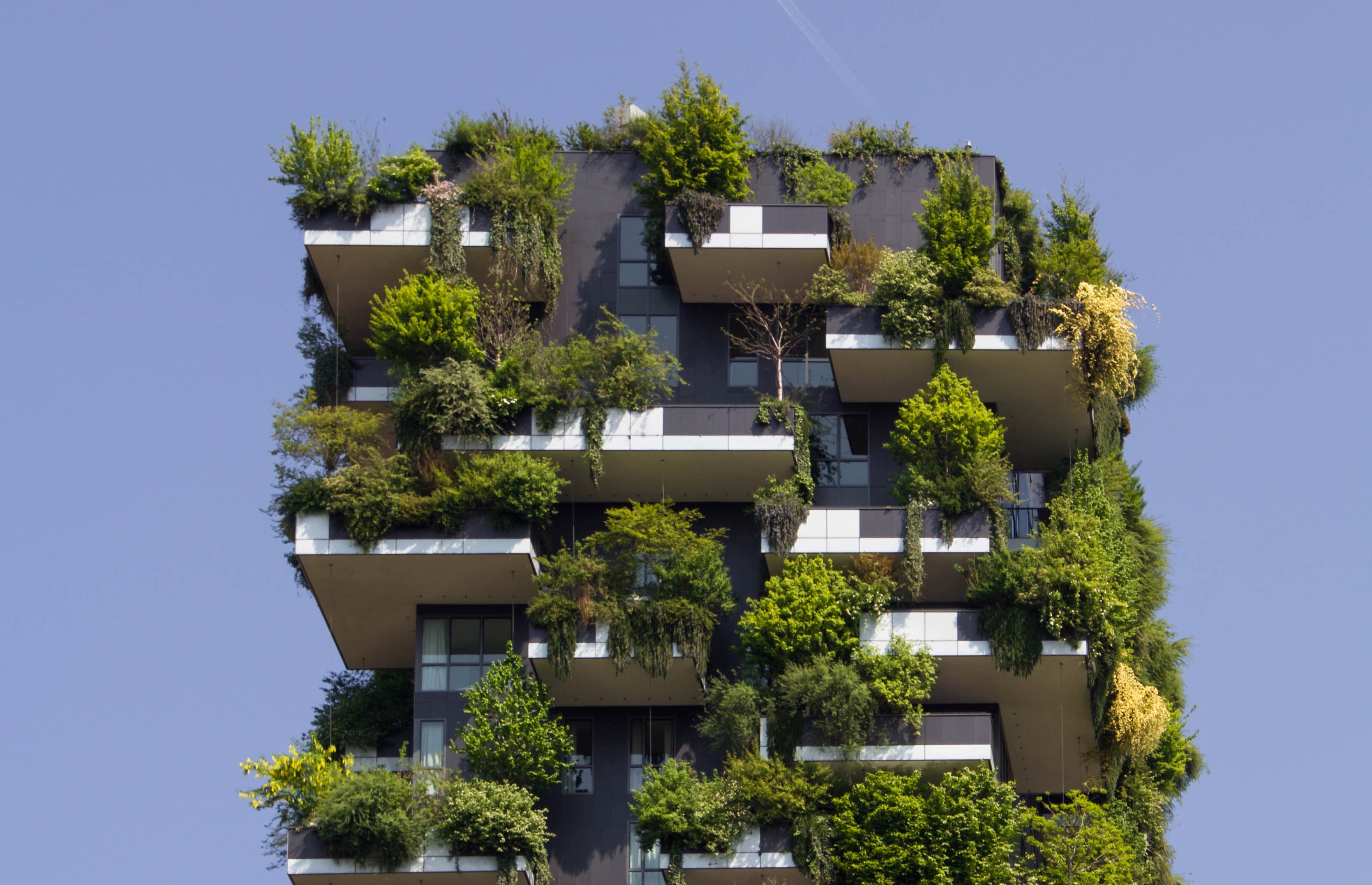 Grüne Immobilien / Gebäude
