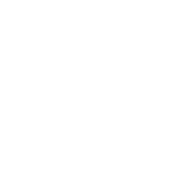 fors.earth Nachhaltigkeitsberatung ESG Due Diligence
