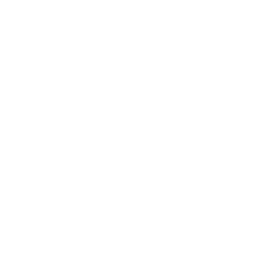 fors.earth Nachhaltigkeitsberatung ESG Risk Scan